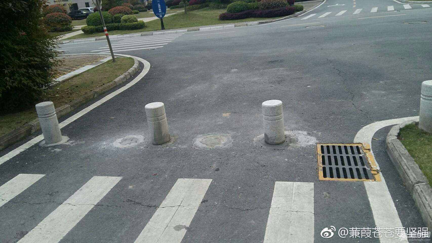 1493635223694.jpg