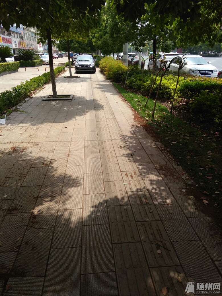 1493959402242.jpg
