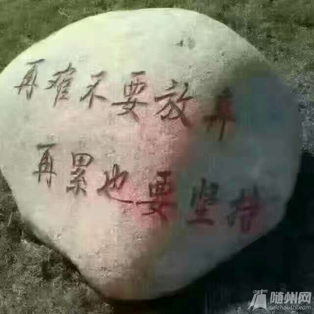 1494427395260.jpg