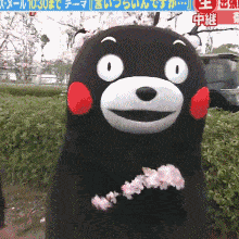 1494721219621.gif