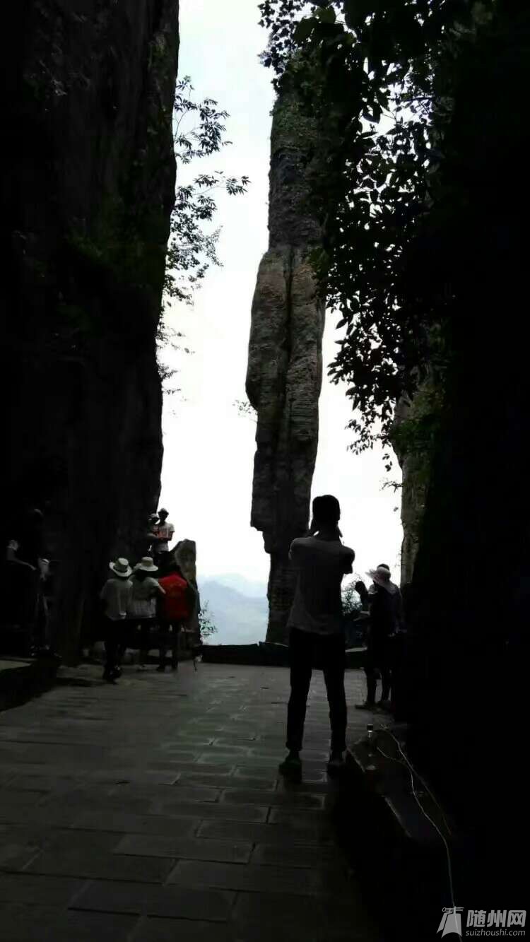 1495025018422.jpg