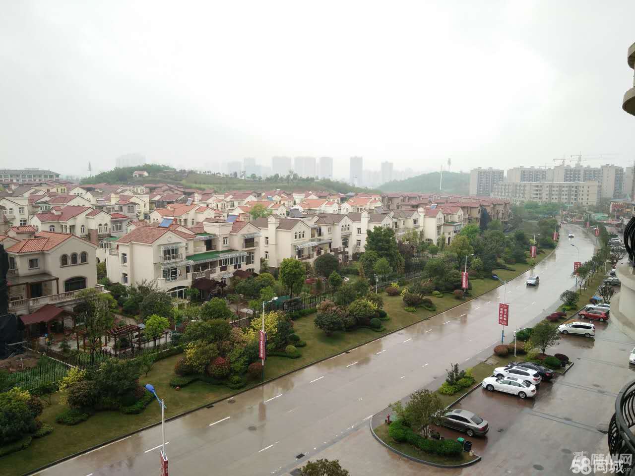 01.jpg