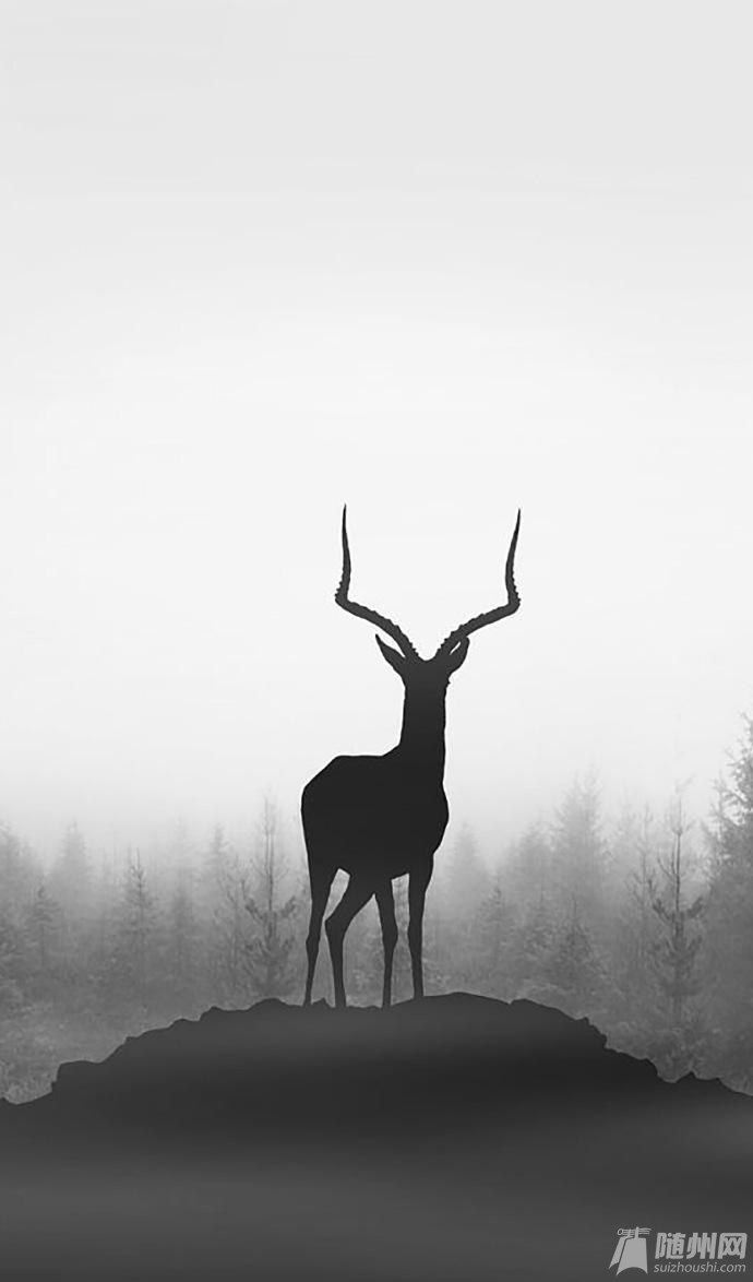 0066u1q6jw1f7ezv6xz1cj30j60wm0td.jpg