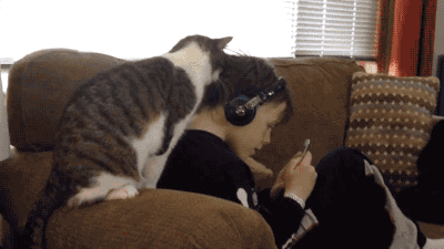 mmexport1496741089800.gif