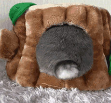 mmexport1496741159241.gif