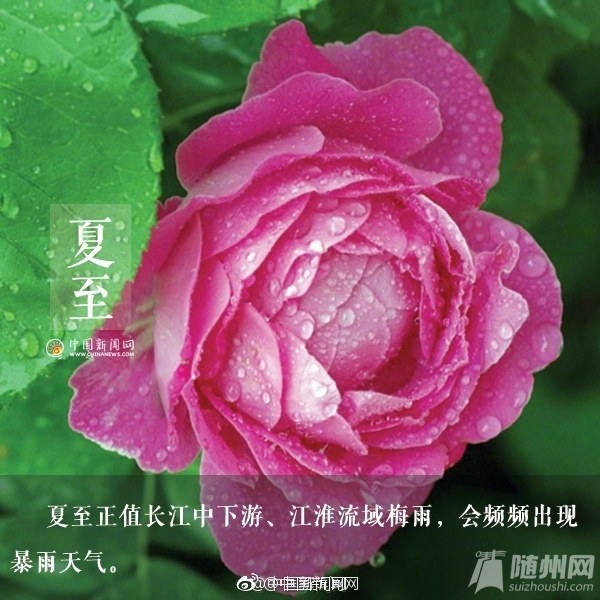 #夏至来啦#