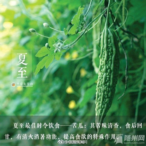 #夏至来啦#