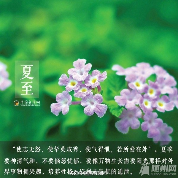 #夏至来啦#