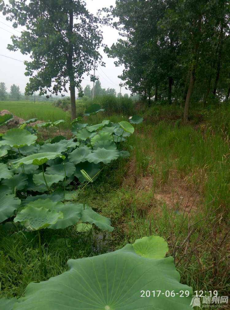 20170704_17114436_1499153663072.jpg