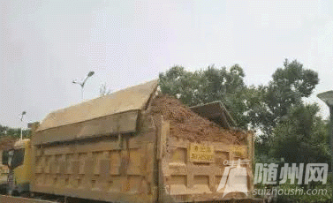 2ed20004562ae98dda50 .gif