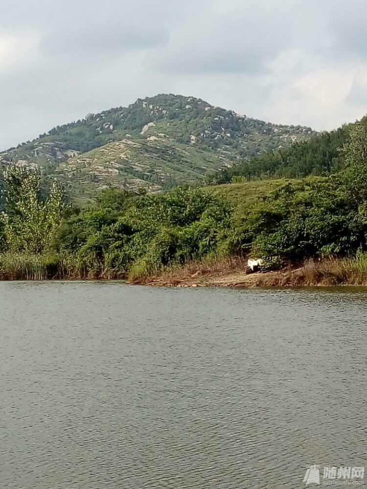 20170726_17154347_1501037011990.jpg