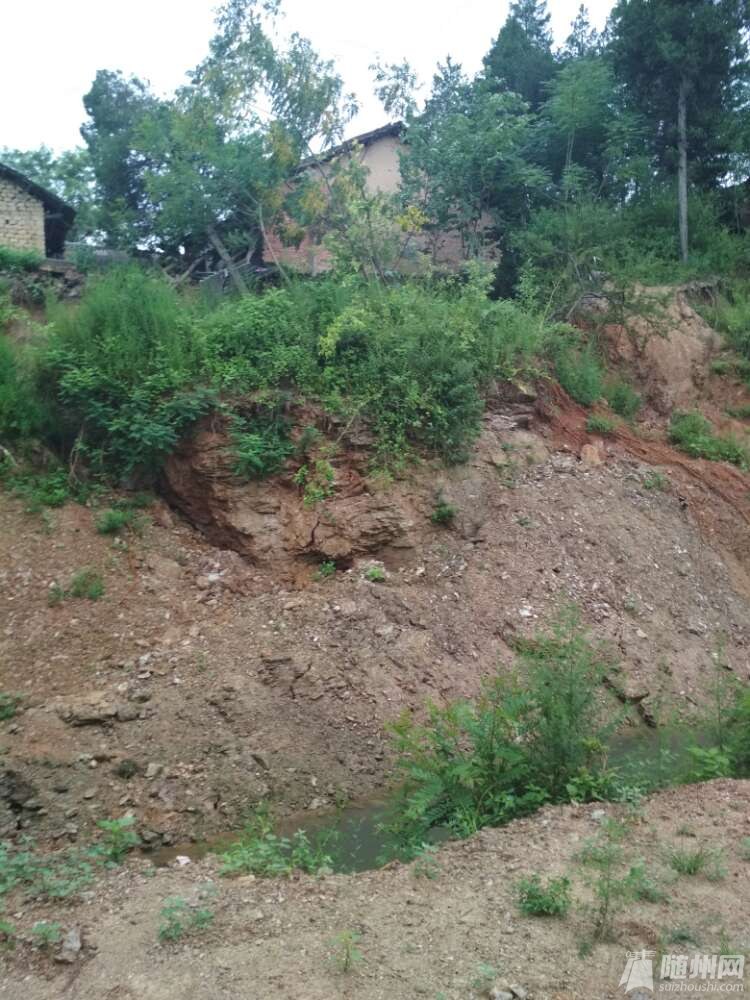 20170819_17152900_1503149821166.jpg