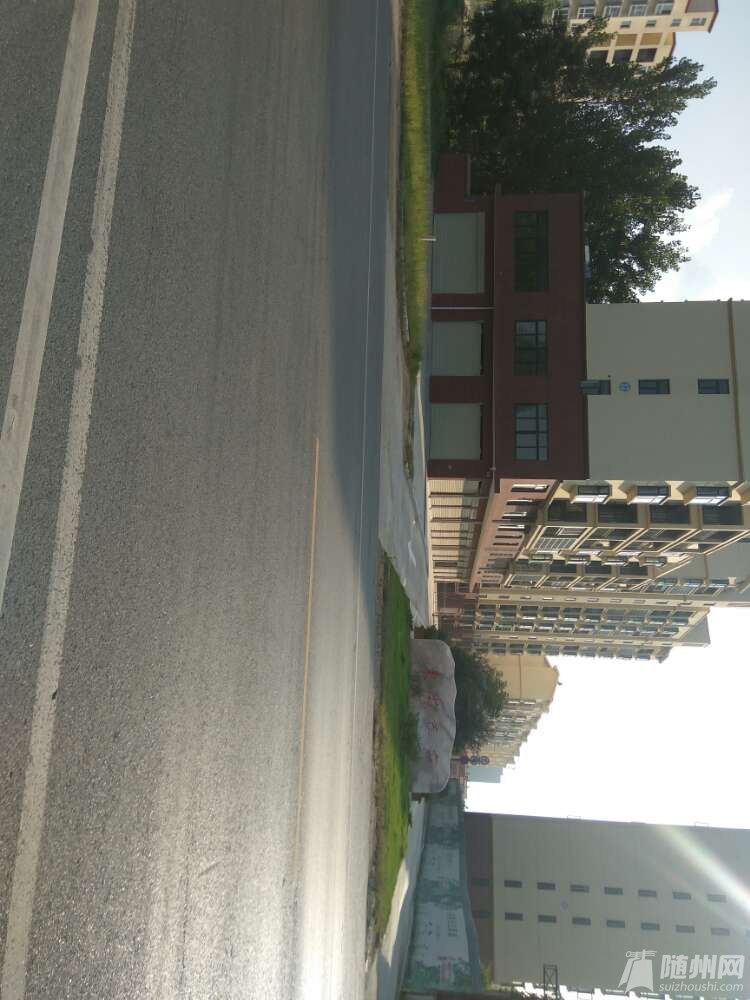 20170823_17132245_1503494103493.jpg