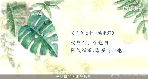 ¶