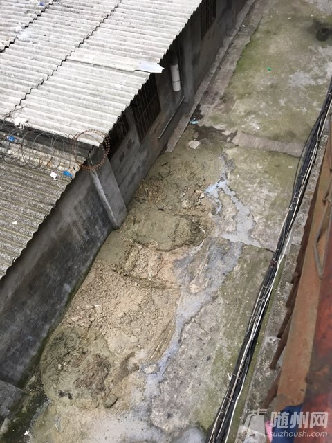 20170922166491151506047395855057.jpg