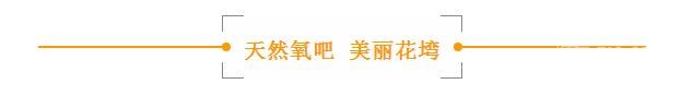 QQ截图20171021145358.jpg