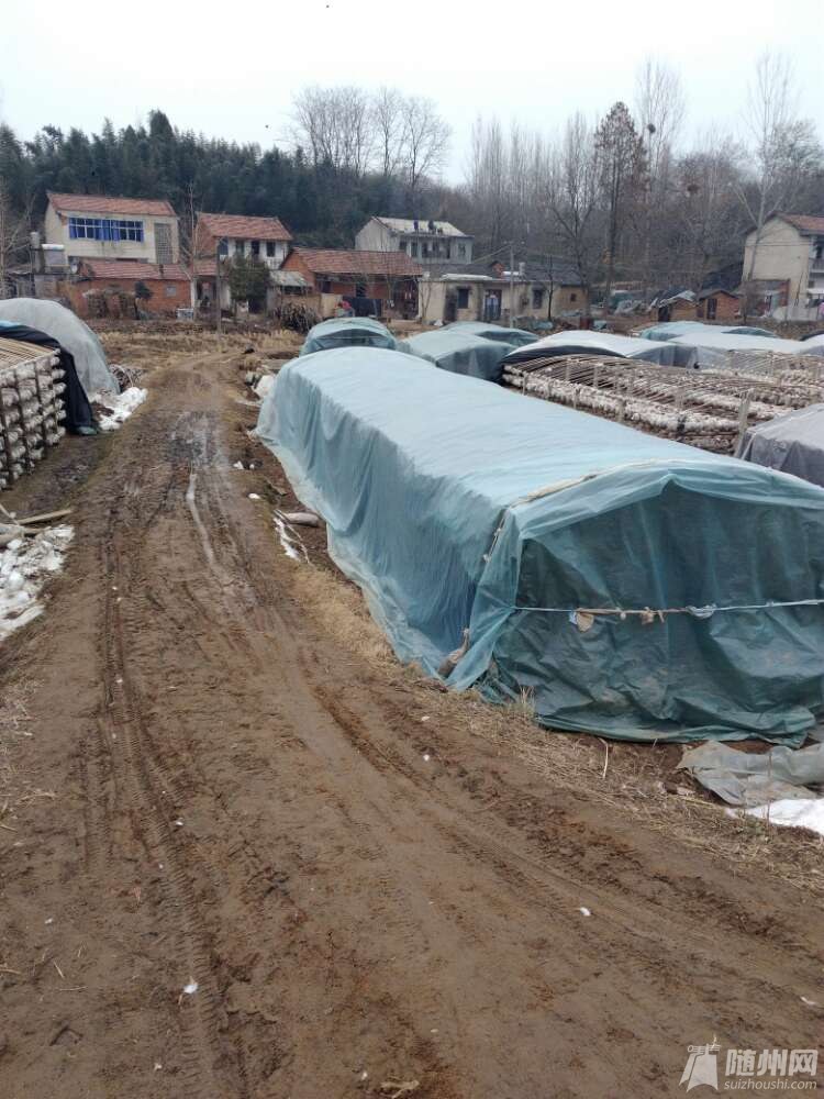 20180209_17137835_1518167135389.jpg