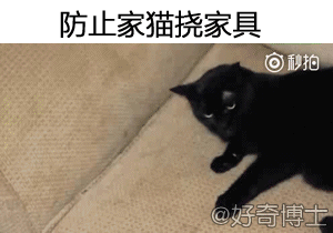 20180301_17181708_1519897939631.gif