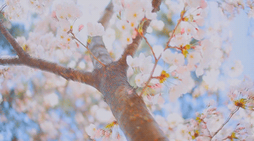 640.gif