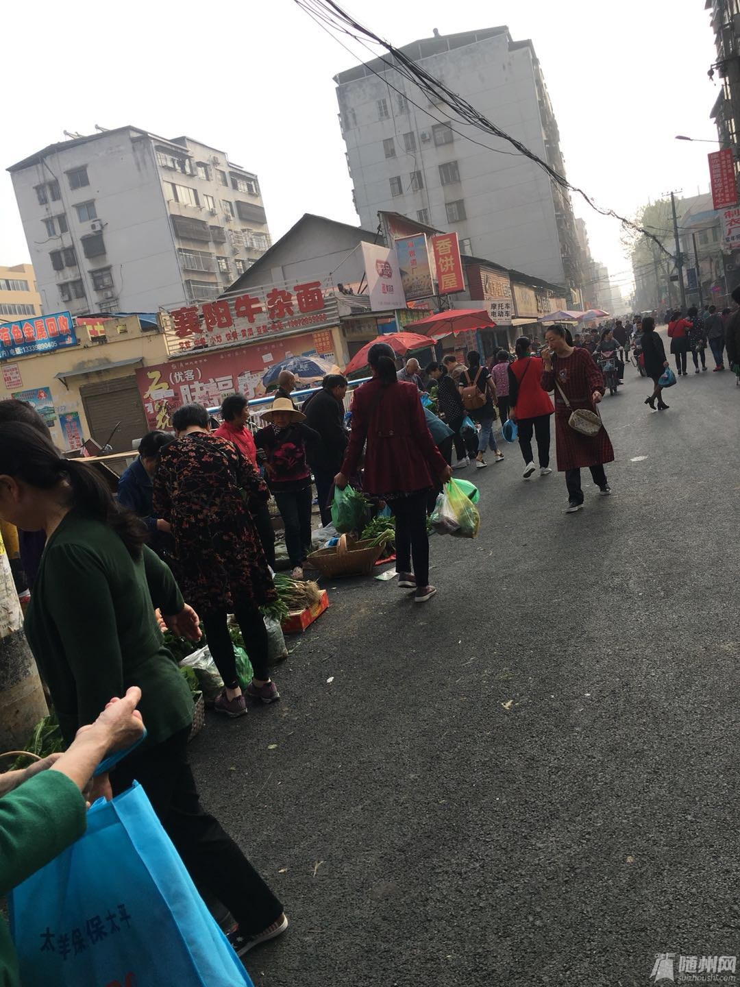 新修的桥