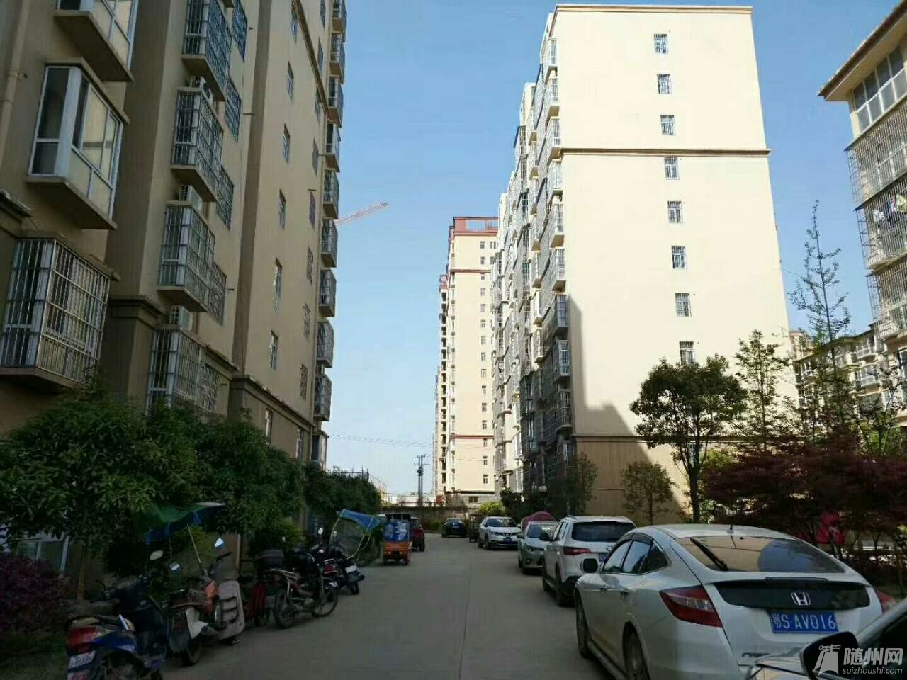 20180408_17128719_1523156457874.jpg