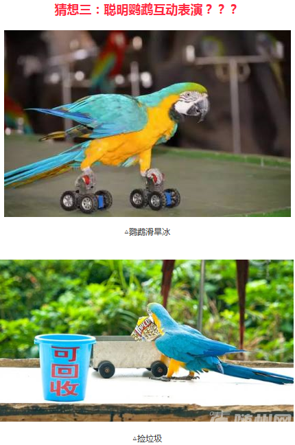 QQ图片20180409101446.png