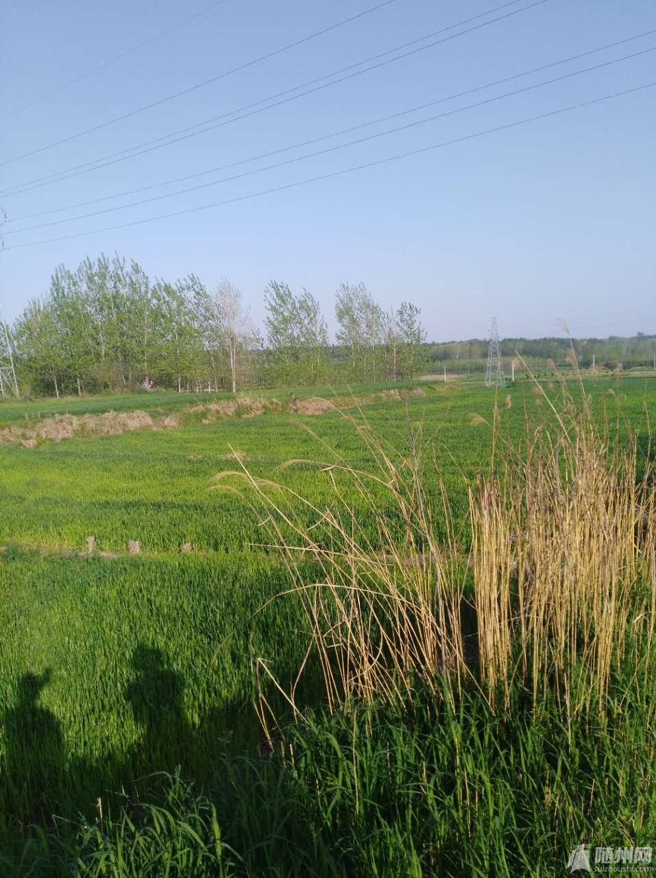 20180414_17015601_1523678824564.jpg