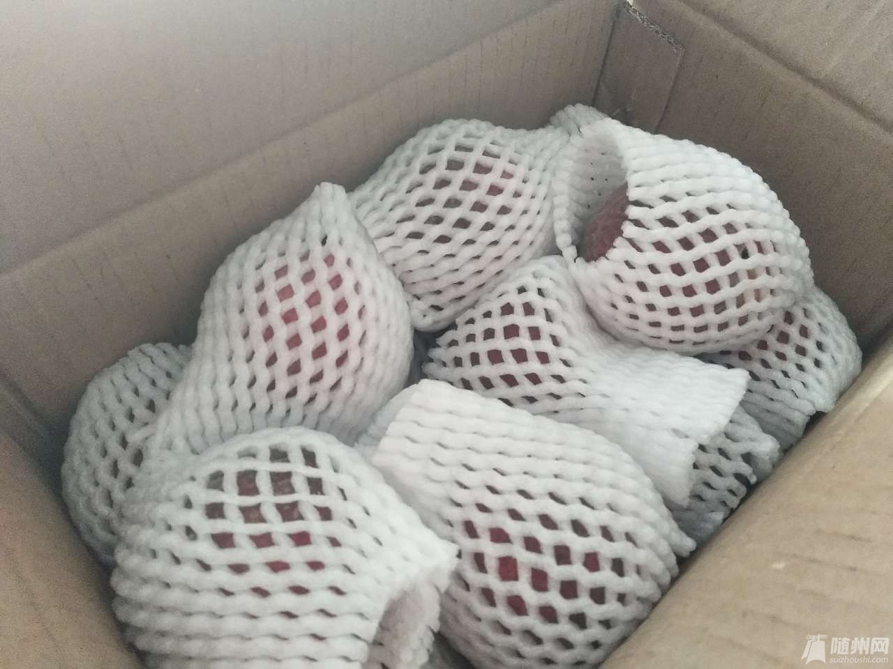 20180605_17091186_1528194513478.jpg