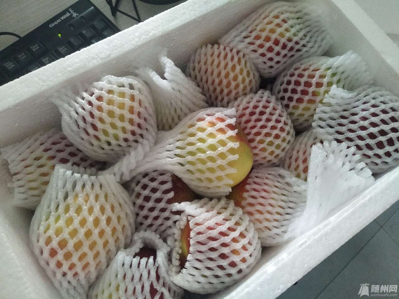 20180605_17091186_1528194513964.jpg