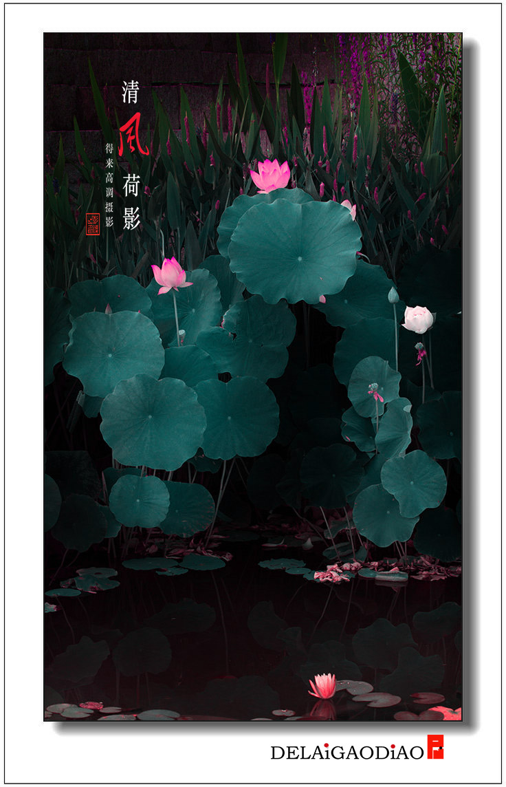 1副本.jpg