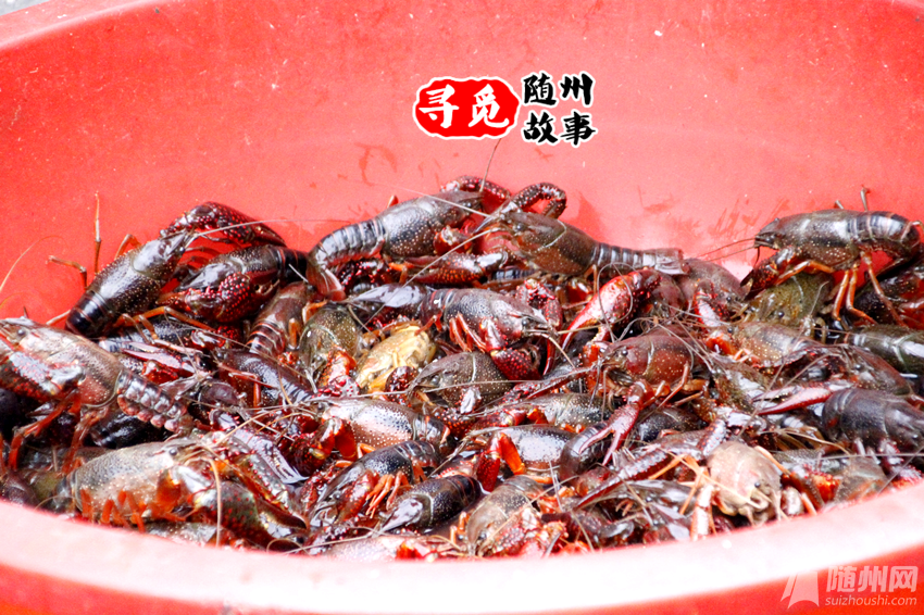 _MG_0097_副本.png