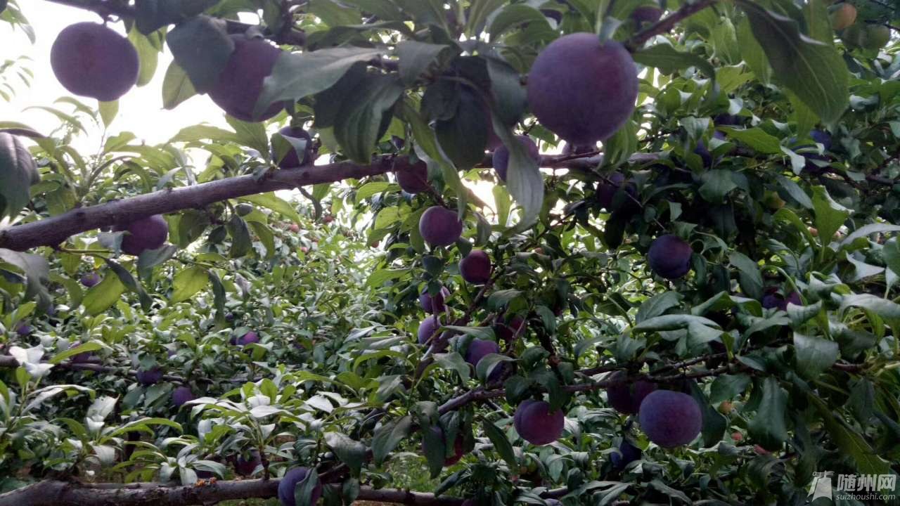 20180625_17093388_1529926261866.jpg