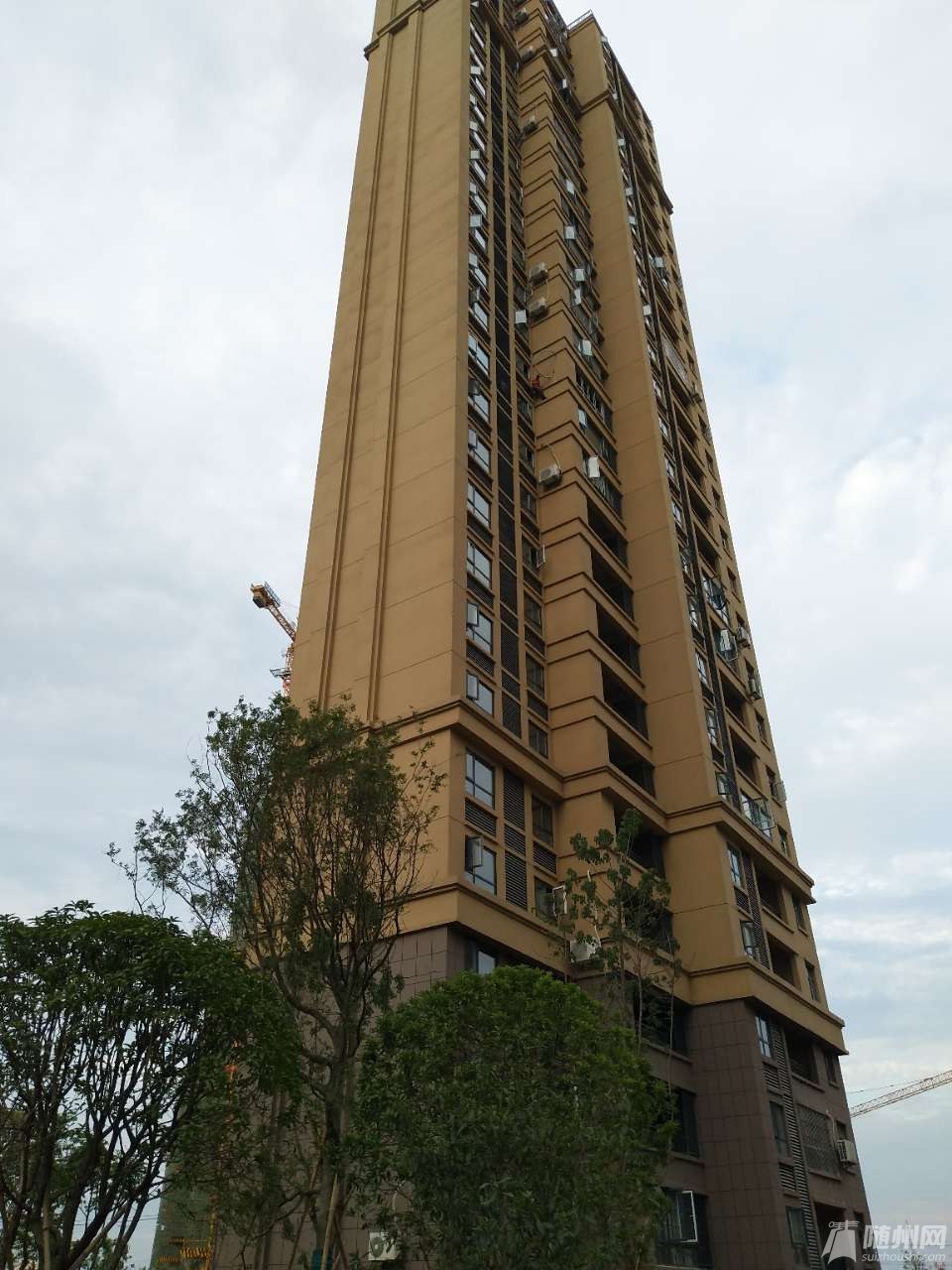 20180702_17126873_1530521969546.jpg