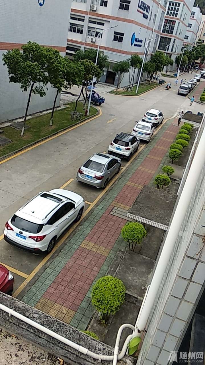 20180703_17009094_1530588703334.jpg
