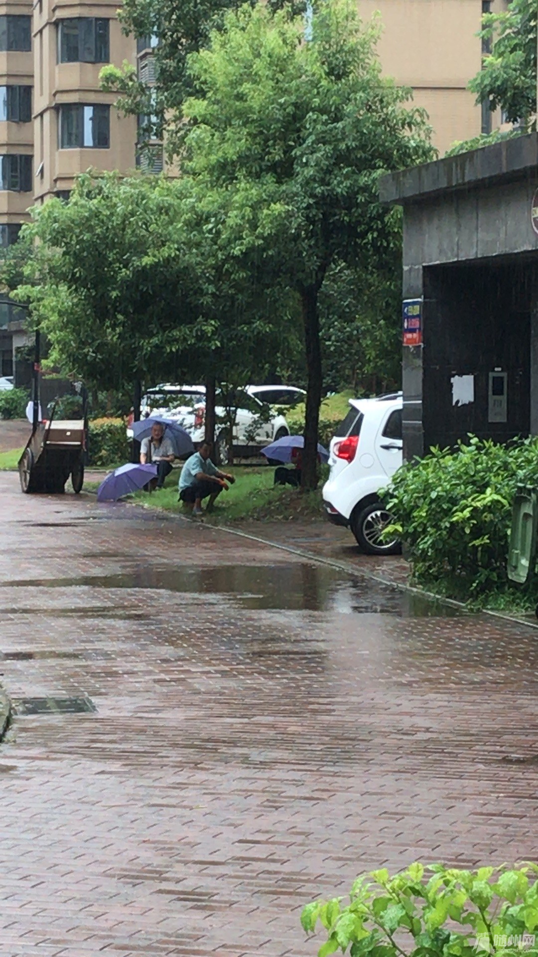 微信图片_20180705090142.jpg