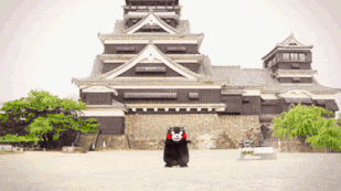 640 (7).gif