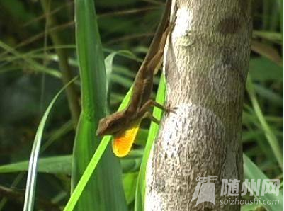 微信图片_20180805102459.png