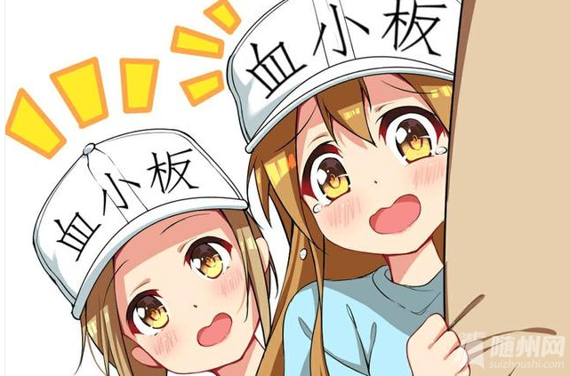 微信图片_20180805102502.png