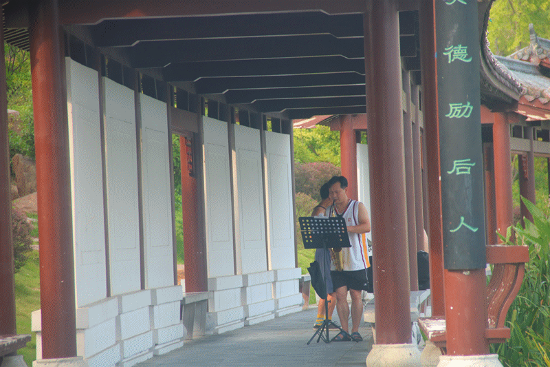 IMG_0779_副本.gif