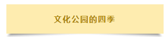 QQ图片20180806155730.png