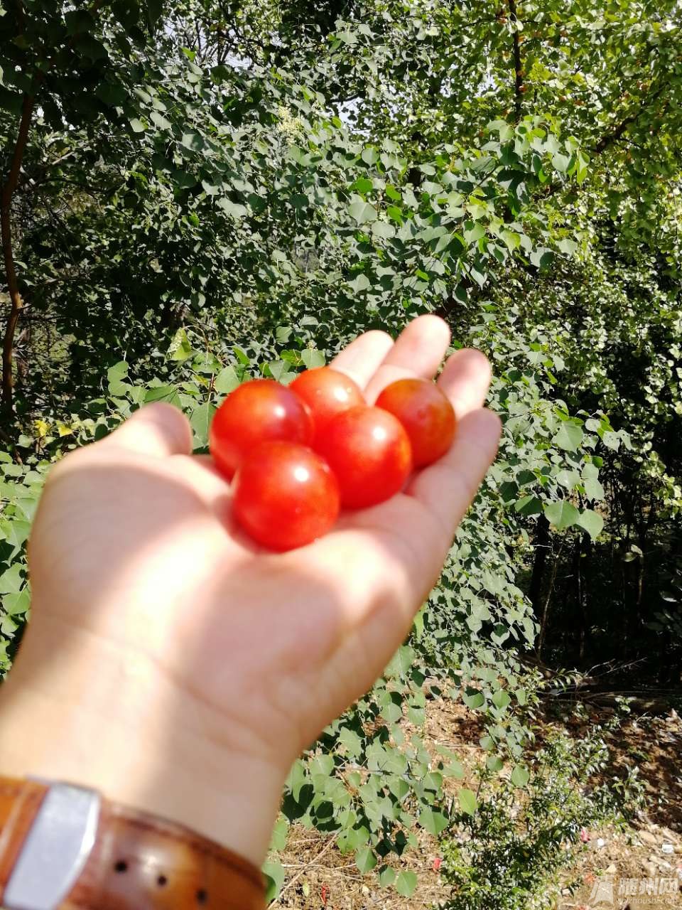 20181003_17104985_1538577800056.jpg