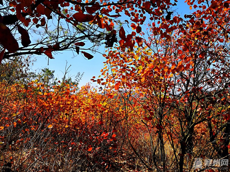 ΢ͼƬ_20181103082143_.jpg
