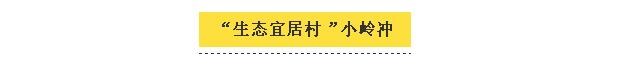 QQ截图20181103163340.jpg