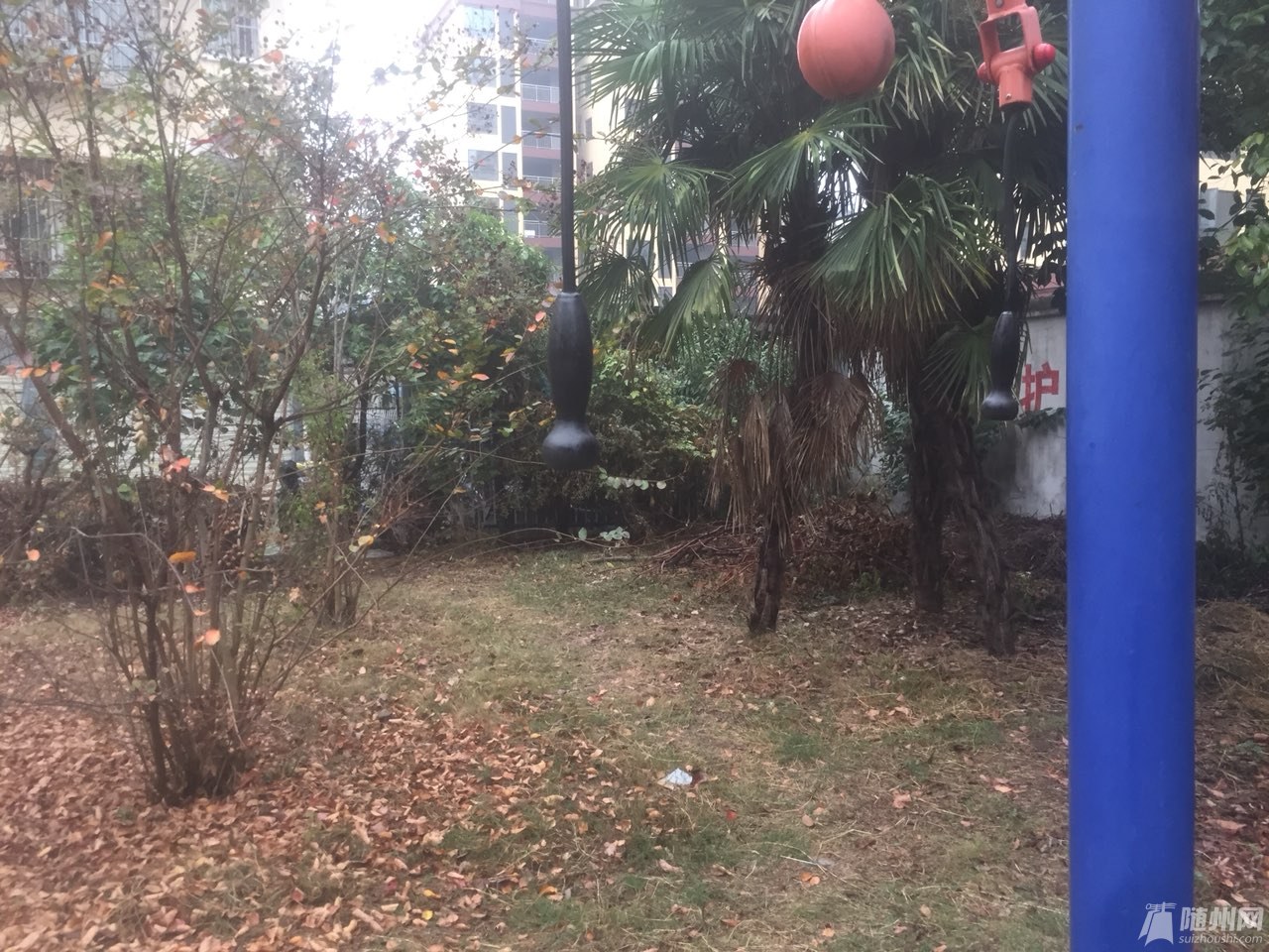 20181105170462061541417670037364.jpg