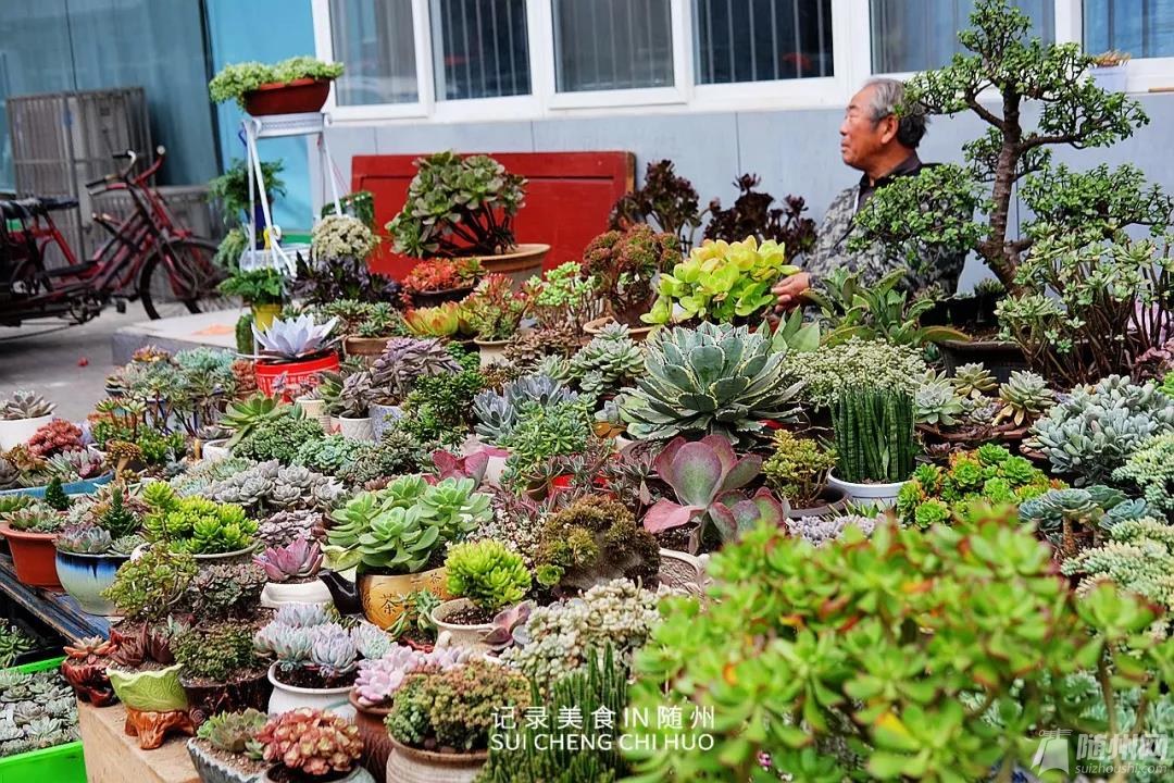 微信图片_20181119154859.jpg