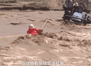 15427626115922.gif