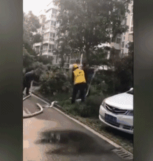15427626168527.gif