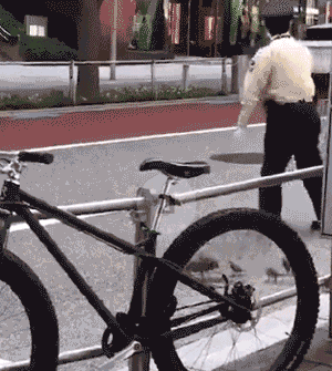 15427626177237.gif