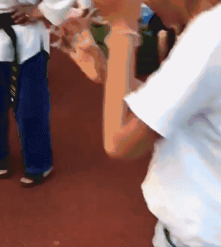 15427626222484.gif