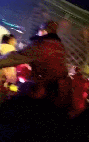 15463940179596.gif